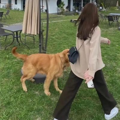 名校